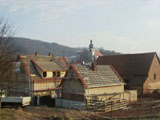 Meyer